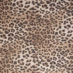 Meet your Posher, Ilana